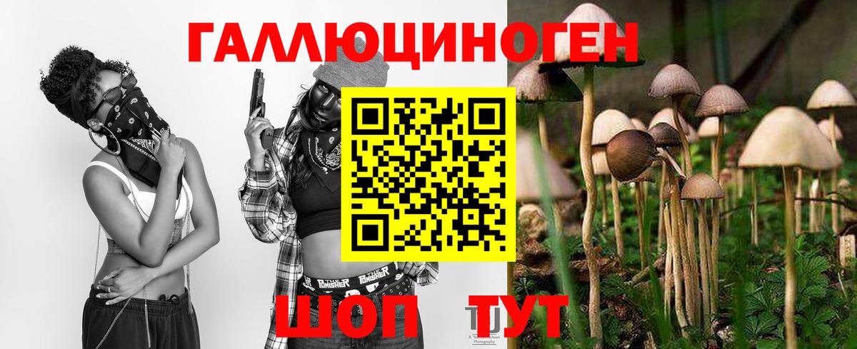 Псилоцибиновые грибы Psilocybe Асбест